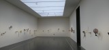 Ausstellungsansicht: Werke von Ahmed Umar 